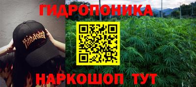 твердый Будённовск