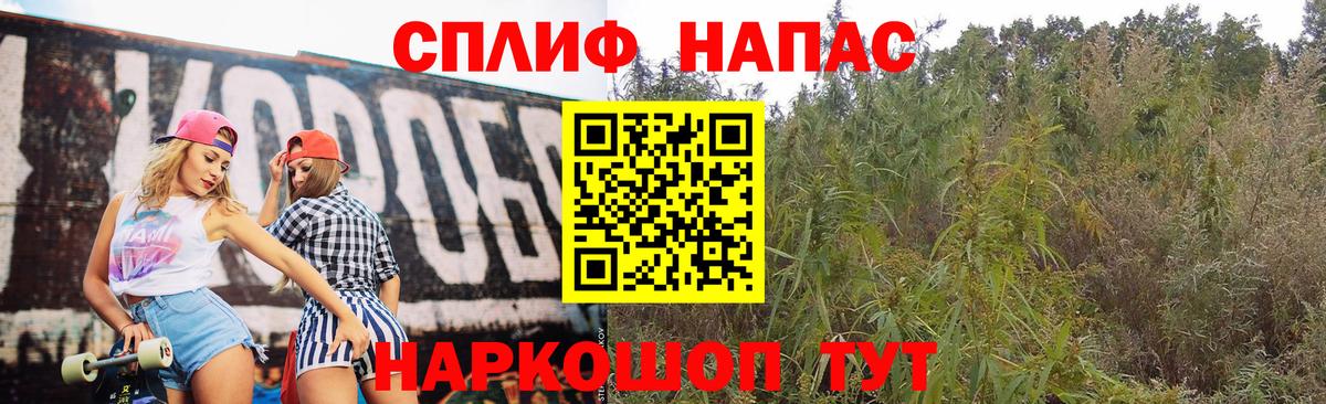 Каннабис планчик Старый Оскол